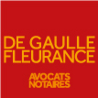 Logo DE GAULLE FLEURANCE & ASSOCIES