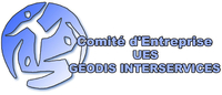 Logo CE GEODIS