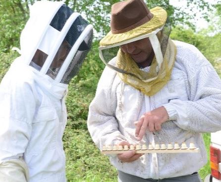 UTPLA apiculteur Arnaud SENECHAL