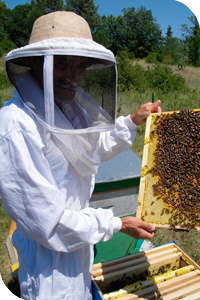 UTPLA apiculteur Patrick FAVER