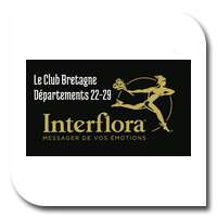 Logo Club Interflora Bretagne
