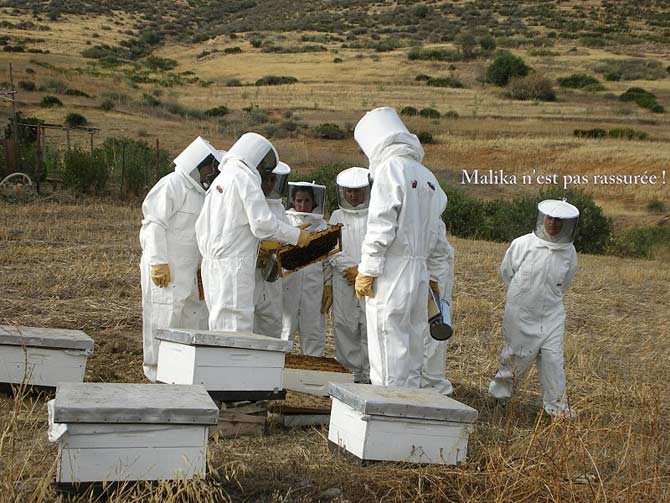 tenues de rigueur, mise en pratique sur le rucher
