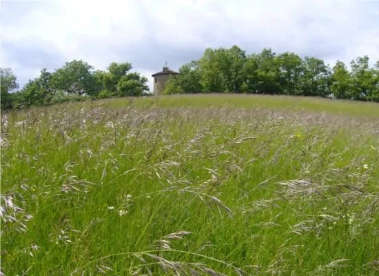 Le rucher de Lamaguère