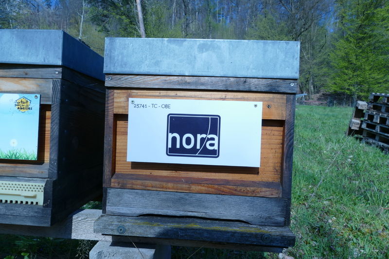 Nora Distribution