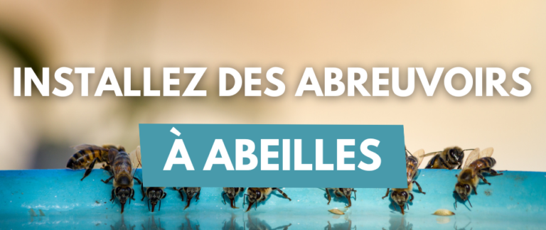 Un blog pour les abeilles